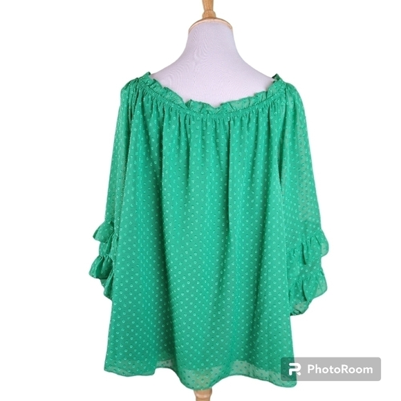 Cato swiss dot Blouse, sz 22/24 kelly green peasant fairy lagenlook oversized - Picture 2 of 10